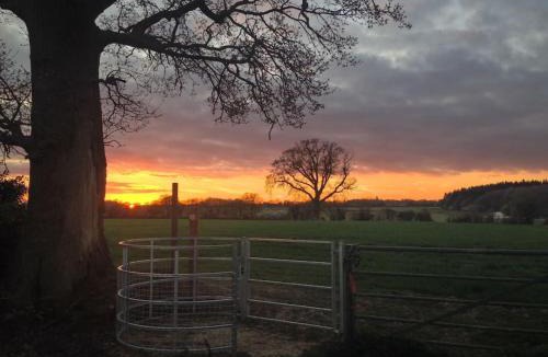 Dagnall Villa | Bumblebee Cottage - Cosy Cottage in Area of Outstanding Natural Beauty