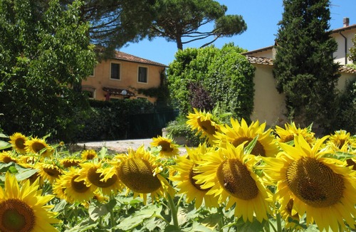 Toiano House | Buon Riposo - Farmhouse in the heart of Tuscany with free WIFI area