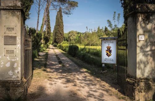 Careggi Rifredi House | Buonincontro Apartment