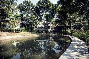 Mueang Na Resort | Buraphat Resort