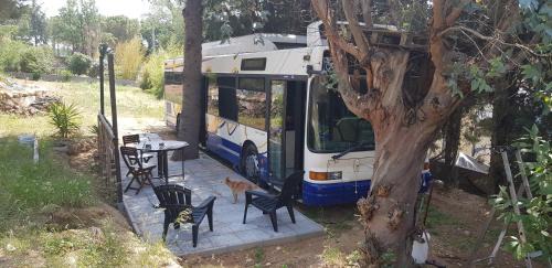 Millas Other | Bus aménagé