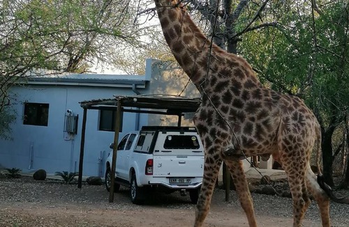 Marloth Park Apartment | Bushbuck Rest