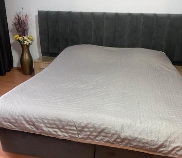 Baile Herculane Apartment | Butoianu Spate I