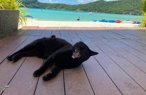 Ko Phi Phi Hostel | By the Beach Hostel