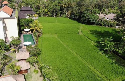 Pengosekan House | Byasa Ubud