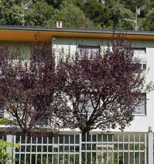 Cernobbio Apartment | Cà Nulcin