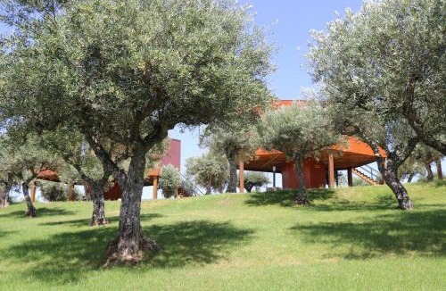 Pinhel House | CÔA HONEYCOMB