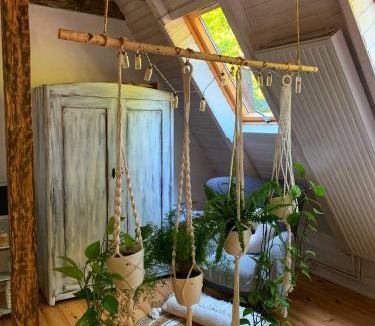 Firiza Villa | Căsuța cu doi brazi