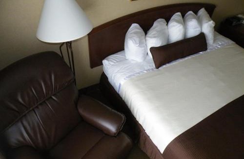 Thief River Falls Hotel | C'Mon Inn