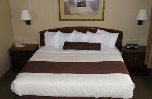 Thief River Falls Hotel | C'Mon Inn