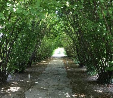 Pernumia House | Ca' Borgo delle Rane