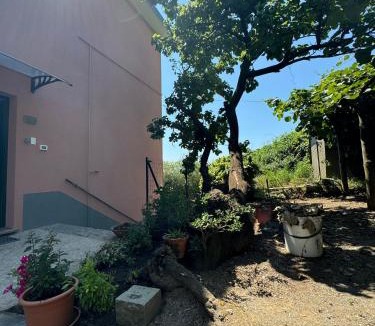Volastra Apartment | Ca' dii Bürsa - HOMY 5 TERRE