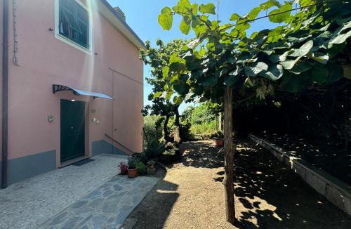 Volastra Apartment | Ca' dii Bürsa - HOMY 5 TERRE