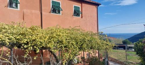 Gorra House | Ca du Len Gorra - MTB's Friendly