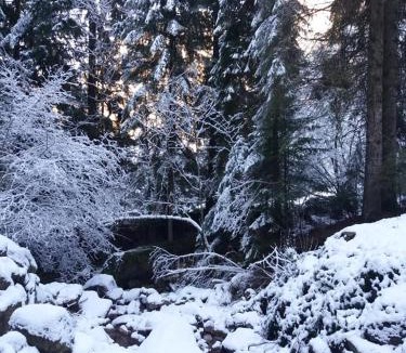 Piazzatorre Bed & Breakfast | Ca' Moretti