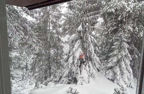 Borca di Cadore Ski Chalet | Ca' Mugo, a dream chalet in the enchanted forest, near Cortina