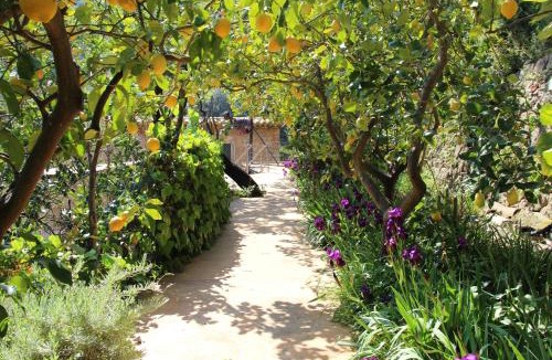 Soller House | Ca Na Menga