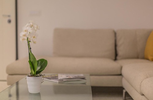 San Marco Apartment | Ca' Rossini 1