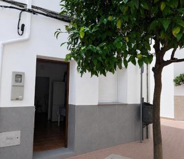 Daimuz House | Ca TONI