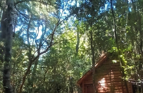 Pucon Cabin | Cabaña Arrayán
