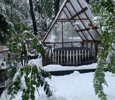 Pinto Ski Chalet | Cabaña bosque