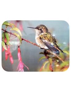 Canton Paraiso House | Cabaña kobata