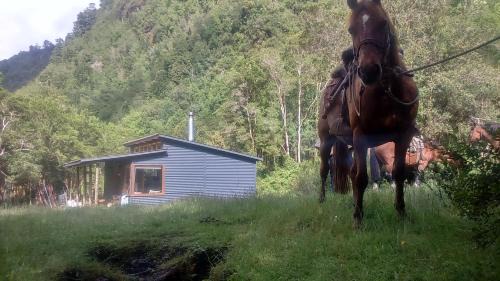 Los Ladrillos House | Cabaña La Sierra de Cochamó