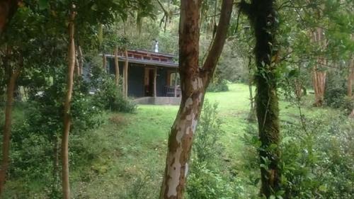 Los Ladrillos House | Cabaña La Sierra de Cochamó