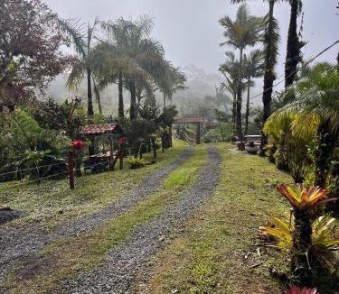 Quebrada La Gamba House | Cabaña las Bromelia