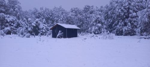 Curacautin Ski Chalet | Cabaña Los Chilcos