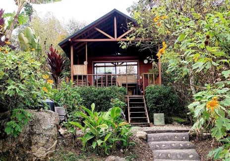 Concepcion House | Cabaña Momotus I