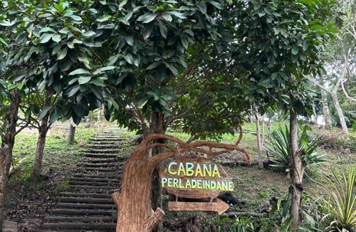 Moyobamba Other | Cabaña Moyobamba