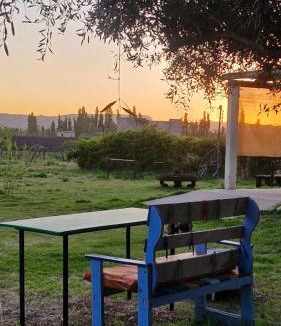 Rama Caida Apartment | Cabaña Oliva - Privacidad frente a los viñedos