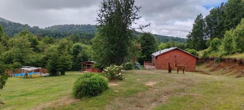 Panguipulli House | Cabañas Antu-Mapu