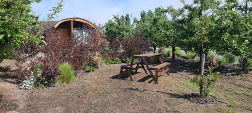 Chepica Cabin | Cabañas Apfel