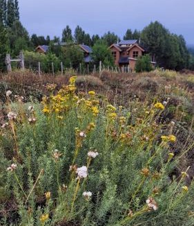 Meliquina Ski Chalet | Cabañas El Montañes