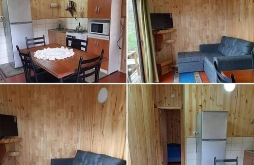 Choshuenco Cabin | Cabañas Genesis