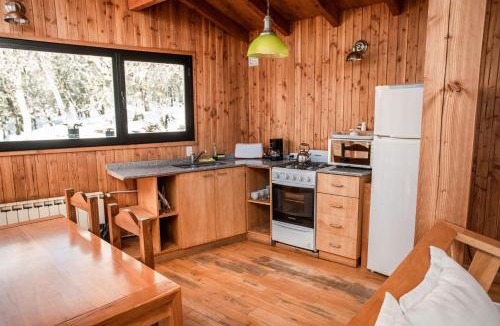 Lanin National Park Cabin | Cabañas Las Murras