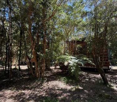 Ensenada Cabin | Cabañas Mountain Fox Chilote - Acceso al Lago - Ensenada