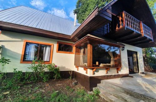Lican Ray House | Cabañas Mulpun