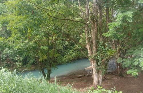 Canton Guatuso Hotel | Cabañas Rio Celeste