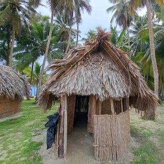 Carti Tupile Apartment | Cabañas tradicionales en isla Aroma San blas