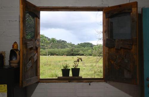 Yolombo House | Cabañas Un lugar Mágico en Cisneros Antioquia