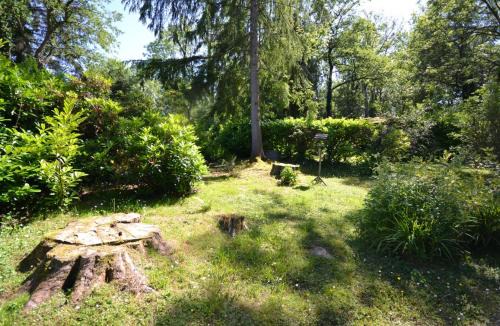 Cenarth House | Caban Coetir