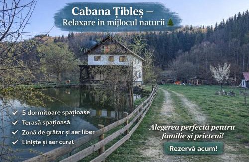 Cosbuc House | Cabana Țibleș