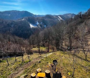 Baisoara Cabin | Cabana A-Frame Refugiu Montan
