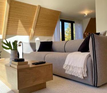Valea Lunga Cricov Other | Cabana A-frame Cricov 9