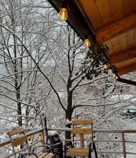 Surdesti House | Cabana A