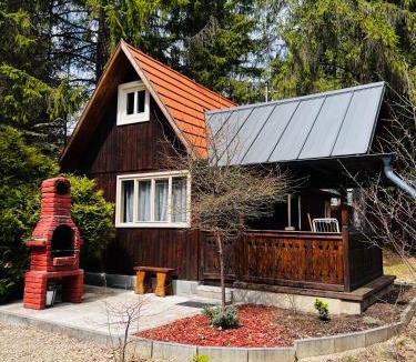 Izvoru Muresului Ski Chalet | Cabana Adrienne