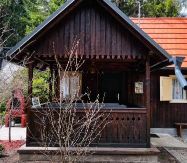 Izvoru Muresului Ski Chalet | Cabana Adrienne